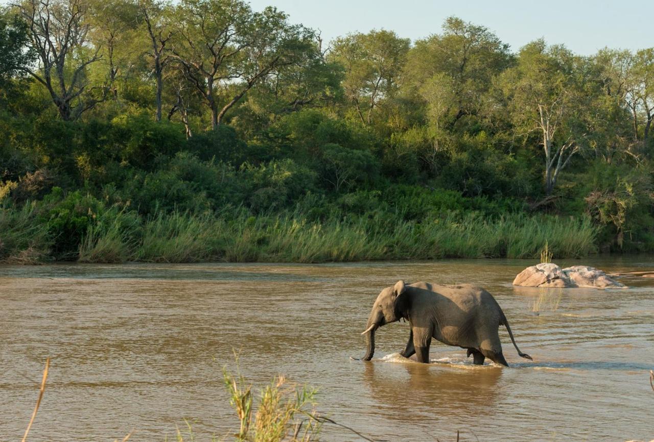 Kruger Shalati - Train on The Bridge&Garden Suites Skukuza Exterior foto